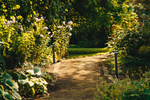Maak je tuin lenteproof