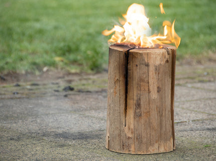 Schwedenfeuer Small (ca. 25 cm hoch)